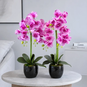 Storczyk sztuczny kwiat orchidea w donicy