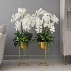 Kompozycja ze storczykami orchidea w donicy Victoria Premium